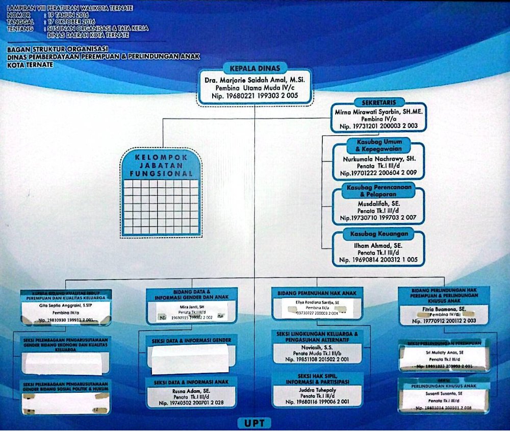 STRUKTUR ORGANISASI DP3A.jpg